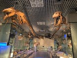 国立科学博物館に投稿された画像（2020/7/31）