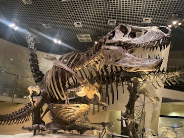 国立科学博物館に投稿された画像（2020/7/31）