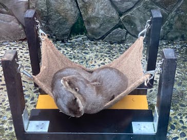 伊豆・三津シーパラダイスに投稿された画像（2020/7/31）