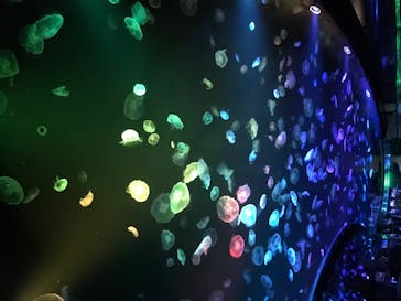 すみだ水族館に投稿された画像（2020/7/31）