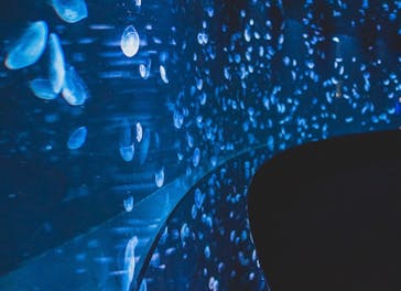 サンシャイン水族館に投稿された画像（2020/7/31）