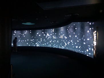 サンシャイン水族館に投稿された画像（2020/7/31）