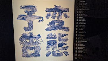 京都水族館に投稿された画像（2020/7/31）
