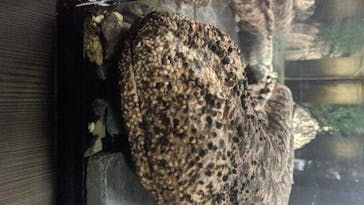 京都水族館に投稿された画像（2020/7/31）