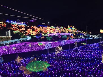 伊豆ぐらんぱる公園に投稿された画像（2020/7/31）