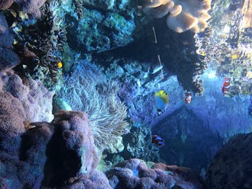 株式会社Gに投稿された画像（2020/7/31）