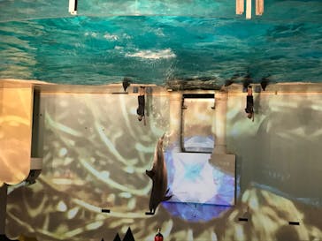 株式会社Gに投稿された画像（2020/7/31）