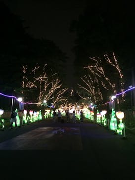 としまえんに投稿された画像（2020/8/1）