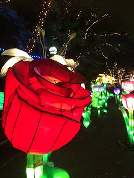 としまえんに投稿された画像（2020/8/1）