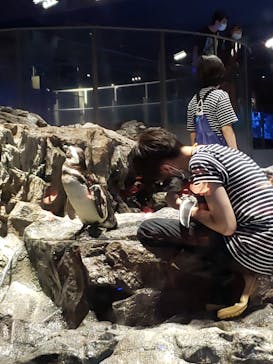 すみだ水族館に投稿された画像（2020/8/1）