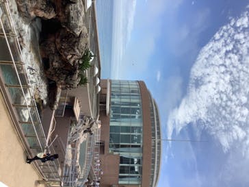 アクアワールド茨城県大洗水族館に投稿された画像（2020/8/1）