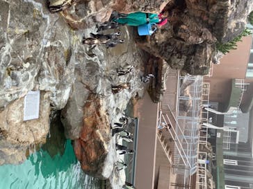 アクアワールド茨城県大洗水族館に投稿された画像（2020/8/1）