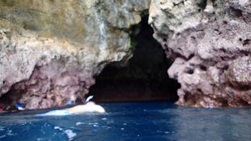 ダイビングショップ Sea Free（シーフリー）に投稿された画像（2020/8/1）