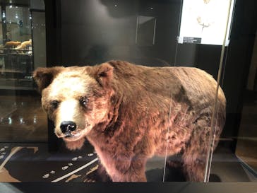 国立科学博物館に投稿された画像（2020/8/1）