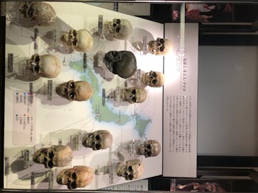 国立科学博物館に投稿された画像（2020/8/1）