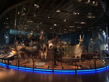 国立科学博物館に投稿された画像（2020/8/1）