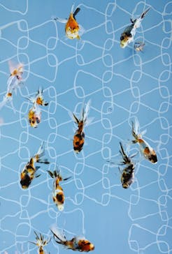 すみだ水族館に投稿された画像（2020/8/1）