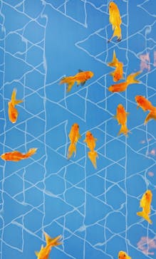 すみだ水族館に投稿された画像（2020/8/1）