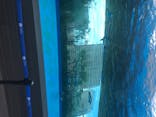 サンシャイン水族館に投稿された画像（2020/8/1）