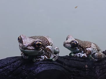 サンシャイン水族館に投稿された画像（2020/8/1）