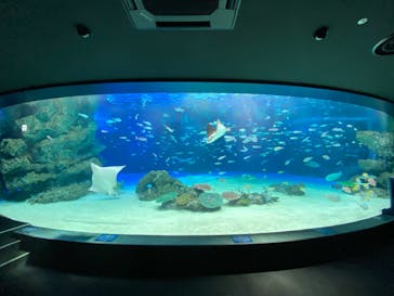 サンシャイン水族館に投稿された画像（2020/8/1）