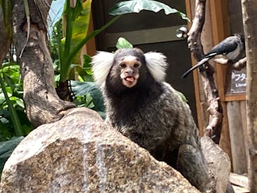 神戸どうぶつ王国に投稿された画像（2020/7/31）