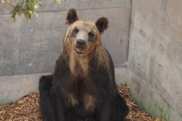 旭川市旭山動物園に投稿された画像（2020/8/1）