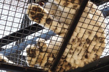 旭川市旭山動物園に投稿された画像（2020/8/1）