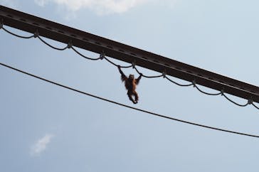 旭川市旭山動物園に投稿された画像（2020/8/1）