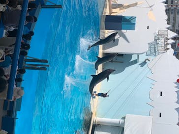 株式会社Gに投稿された画像（2020/8/1）