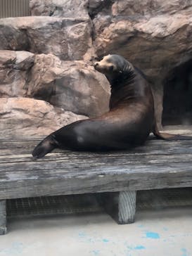 サンシャイン水族館に投稿された画像（2020/8/1）