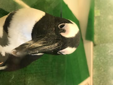 Moff animal world BIGHOPガーデンモール印西店に投稿された画像（2020/8/1）