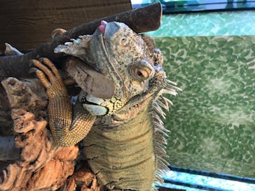 Moff animal world BIGHOPガーデンモール印西店に投稿された画像（2020/8/1）