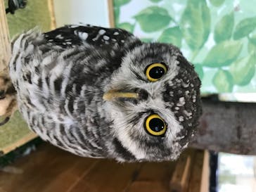 Moff animal world BIGHOPガーデンモール印西店に投稿された画像（2020/8/1）