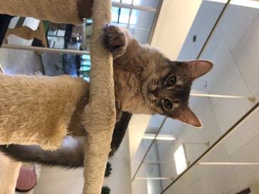 Moff animal world BIGHOPガーデンモール印西店に投稿された画像（2020/8/1）