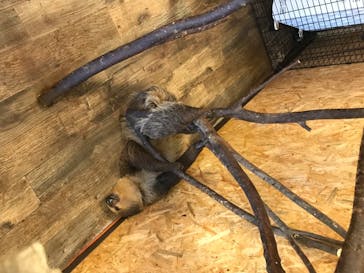 Moff animal world BIGHOPガーデンモール印西店に投稿された画像（2020/8/1）