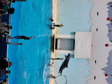 株式会社Gに投稿された画像（2020/8/1）