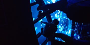 すみだ水族館に投稿された画像（2020/8/1）