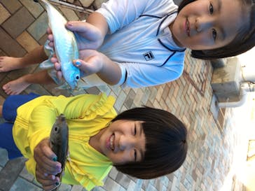 志摩市浜島磯体験施設 海ほおずきに投稿された画像（2020/8/1）