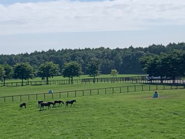 ノーザンホースパークに投稿された画像（2020/8/1）