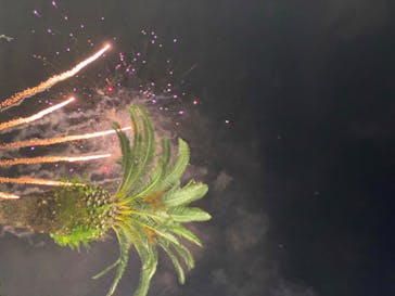 としまえんに投稿された画像（2020/8/1）