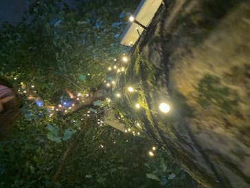 としまえんに投稿された画像（2020/8/1）