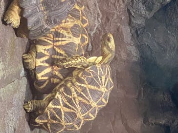 サンシャイン水族館に投稿された画像（2020/8/1）