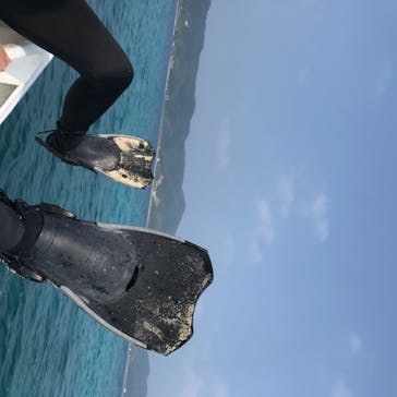 奄美海族塾に投稿された画像（2020/8/1）