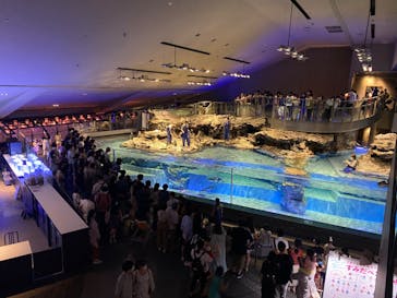 すみだ水族館に投稿された画像（2020/8/1）