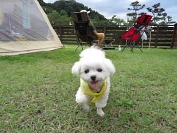 わんダフルネイチャーヴィレッジに投稿された画像（2020/8/1）