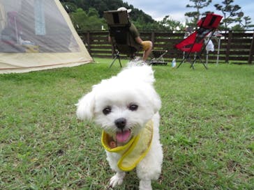 わんダフルネイチャーヴィレッジに投稿された画像（2020/8/1）