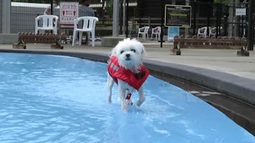 わんダフルネイチャーヴィレッジに投稿された画像（2020/8/1）