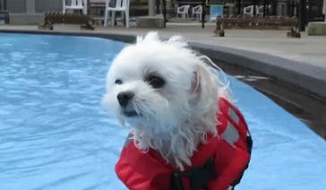 わんダフルネイチャーヴィレッジに投稿された画像（2020/8/1）