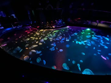 すみだ水族館に投稿された画像（2020/8/1）